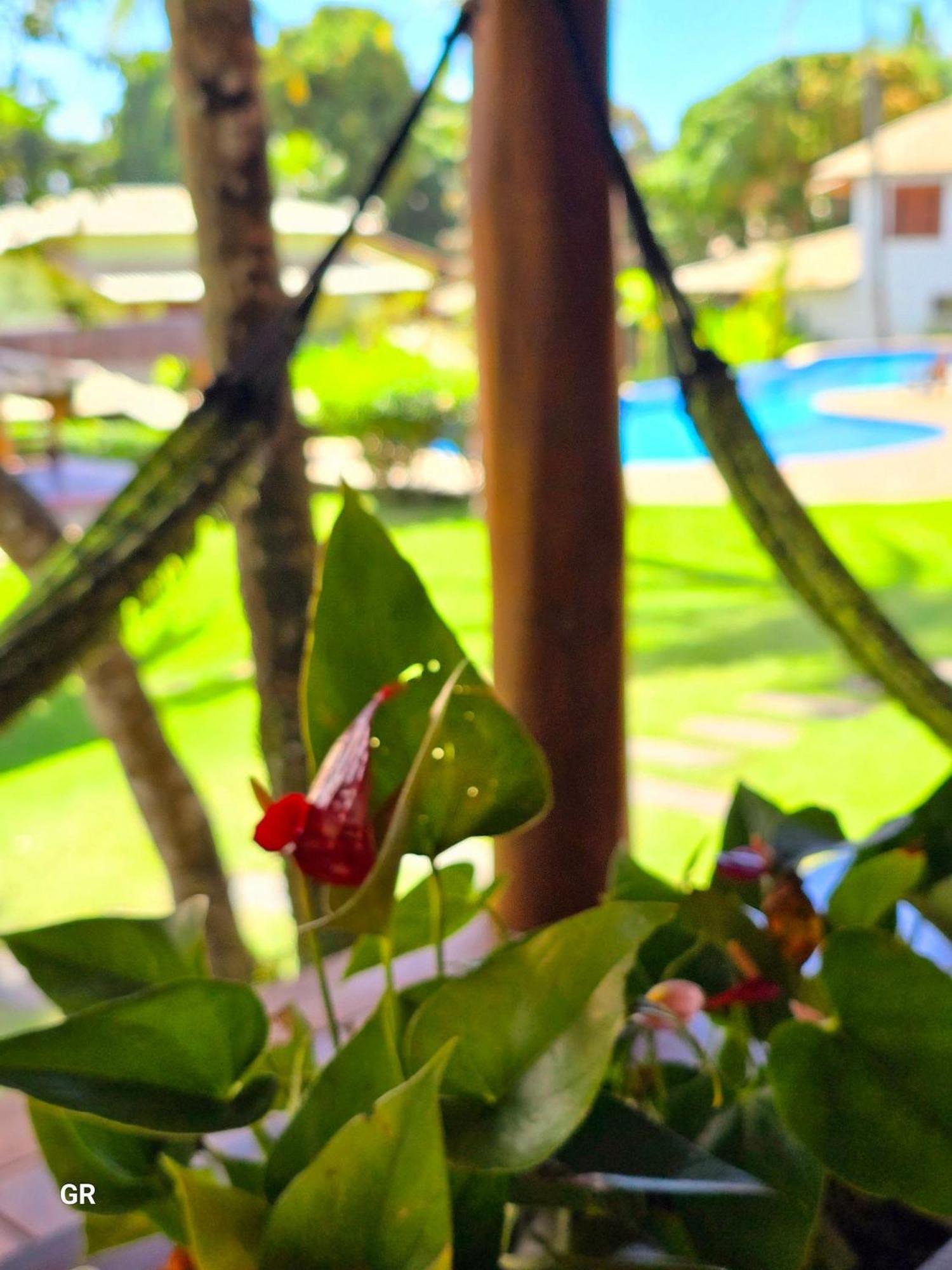 Arraial Lindo Casa Junia Até 6 Pessoas * Porto Seguro